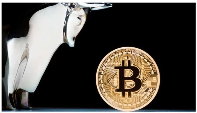 bitcoin bull-Wzn5VfutxY.JPG