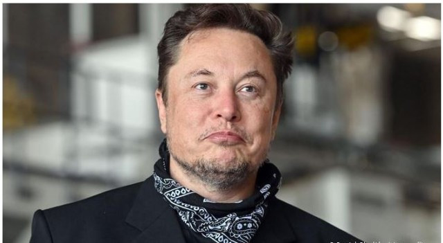 elen musk-jbVAZesCvp.JPG